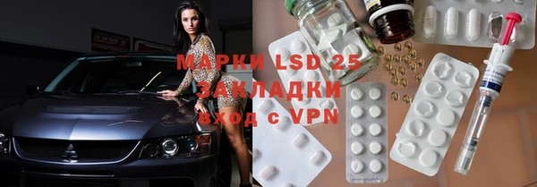 ГАЛЛЮЦИНОГЕННЫЕ ГРИБЫ Аркадак