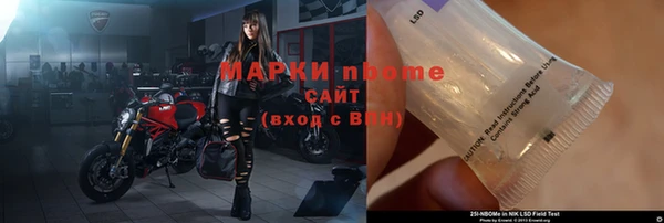 ГАЛЛЮЦИНОГЕННЫЕ ГРИБЫ Аркадак