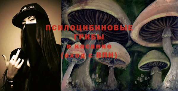 mix Арсеньев