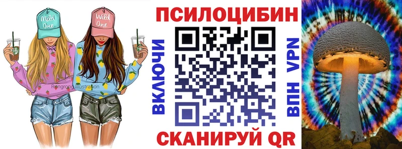 Псилоцибиновые грибы Psilocybine cubensis Сертолово