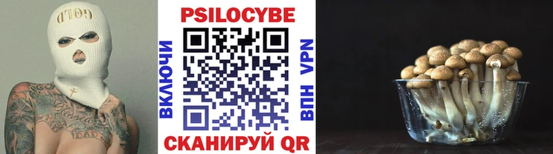 где можно купить   Сертолово  Псилоцибиновые грибы прущие грибы 